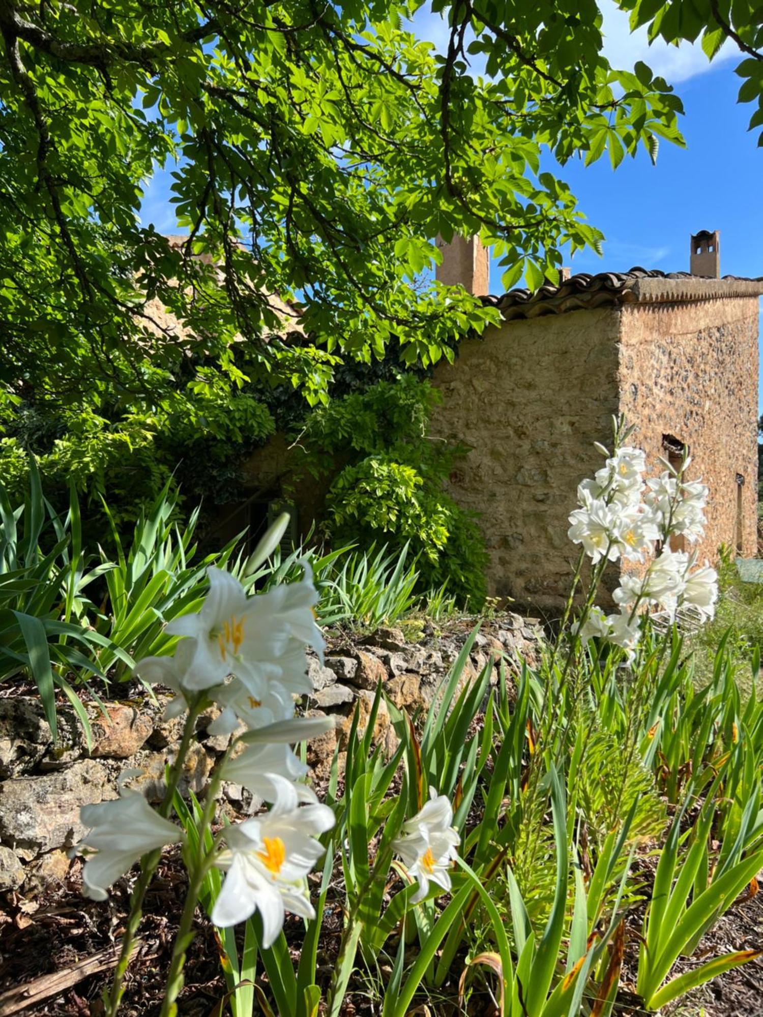La Cabane De Babarot Aups Exterior foto